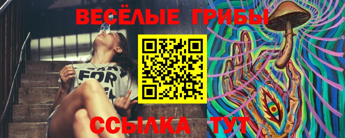 Галлюциногенные грибы GOLDEN TEACHER Биробиджан